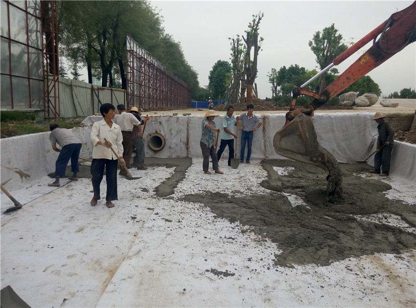 鈉基羞羞网站免费看成就人工湖內花美魚肥